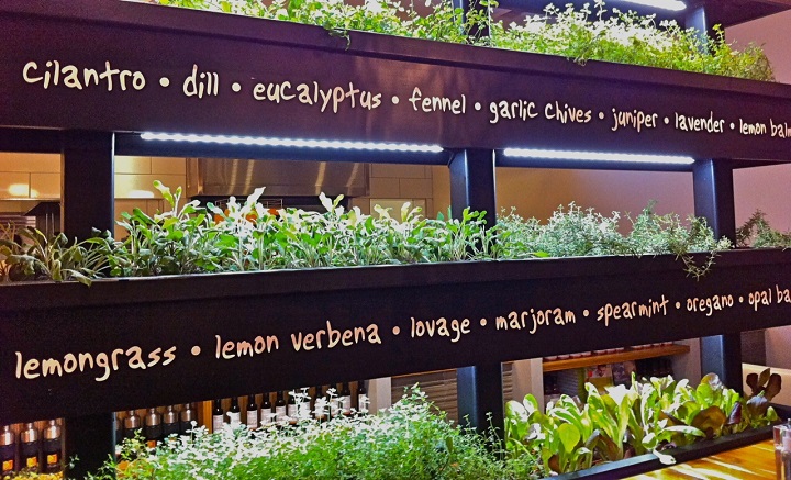 Vertical Herb Garden • Insteading